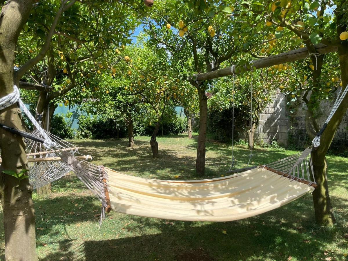 Casa Sorrento, Immerso Nel Verde A Pochi Passi Dal Centro Екстер'єр фото