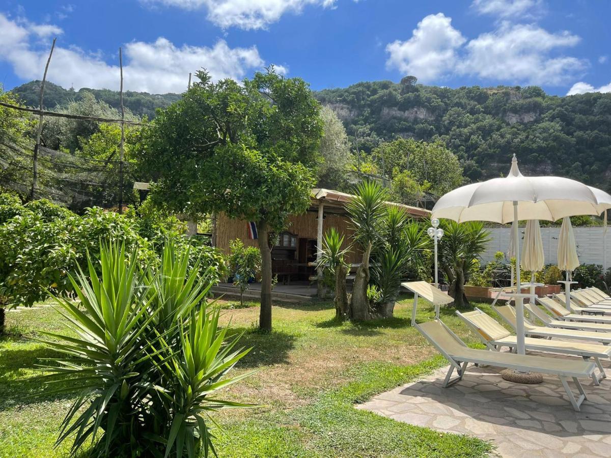 Casa Sorrento, Immerso Nel Verde A Pochi Passi Dal Centro Екстер'єр фото