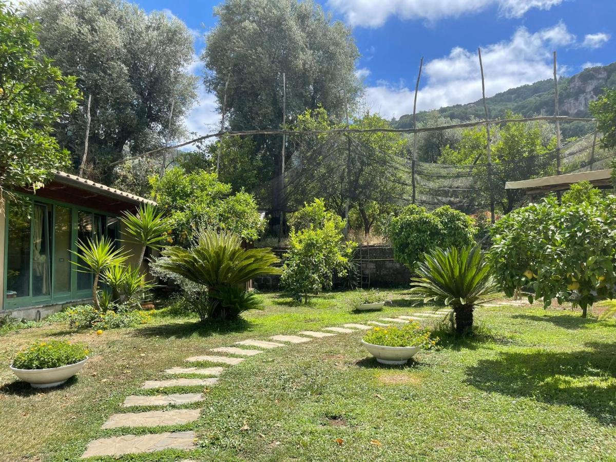 Casa Sorrento, Immerso Nel Verde A Pochi Passi Dal Centro Екстер'єр фото